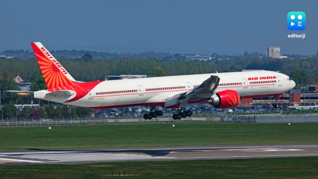 Passengers spot cockroaches onboard Air India's San Francisco-Mumbai flight; airline apologises