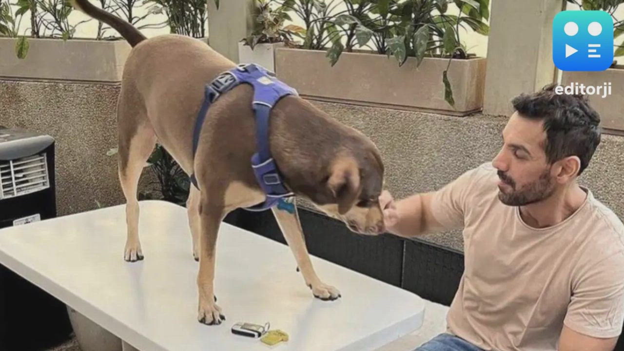 John Abraham urges reconsideration of Delhi NCR dog removal