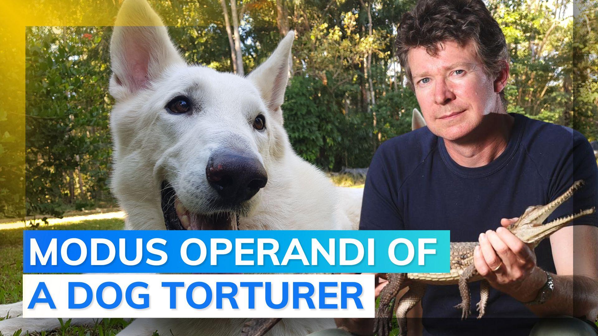 How wildlife expert Adam Britton orchestrated cruel dog abuse Editorji