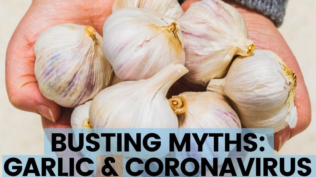 Can Garlic Cure Coronavirus? Editorji