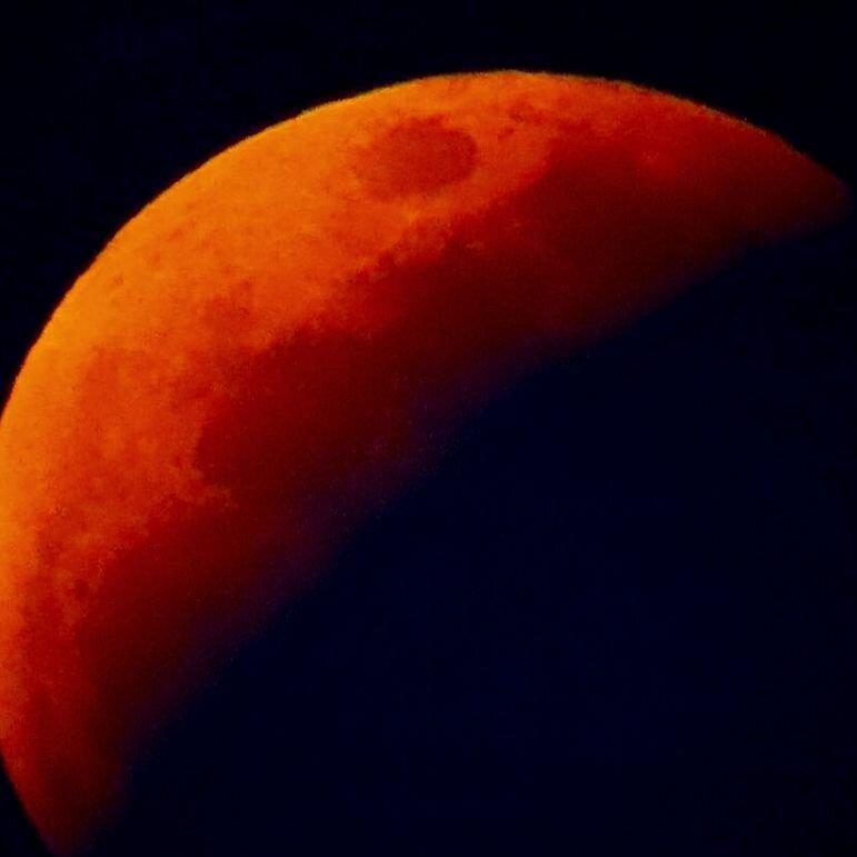What Is A Super Flower Blood Moon? | BOOM | Lunar Eclipse 2021 | Editorji