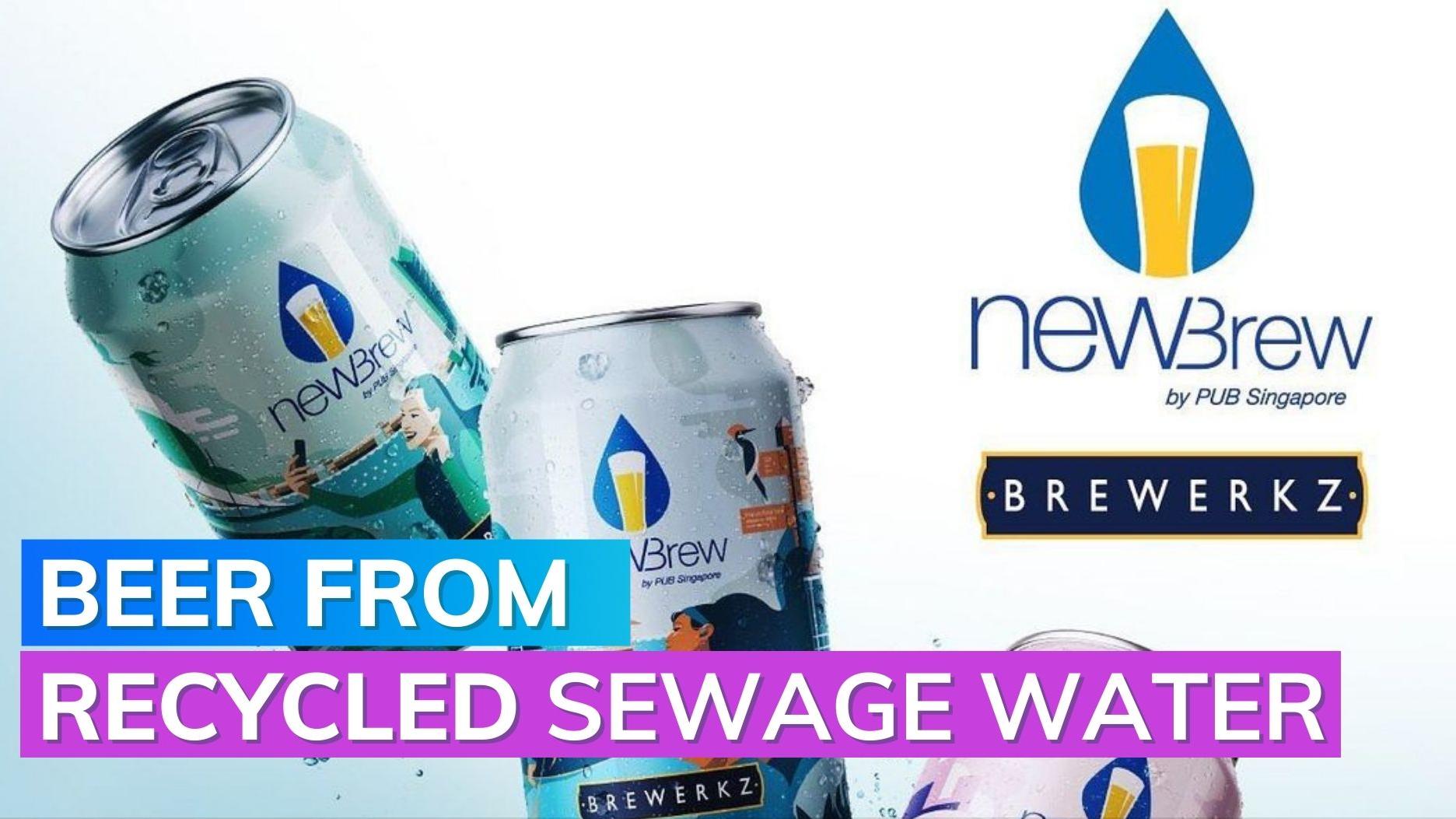 A new high! Beer made out of sewage water in Singapore Editorji