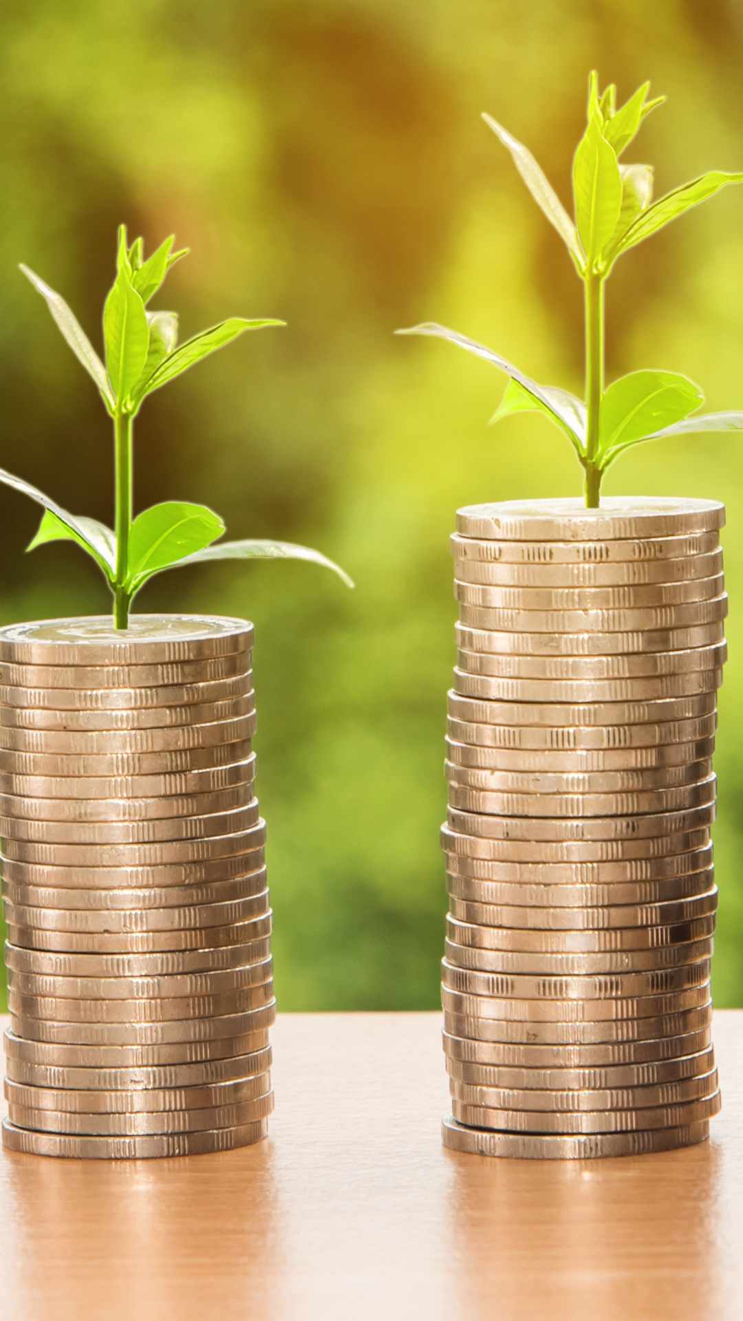 Top 8 highest dividend paying stocks in the world 2023