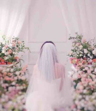 Wedding Impossible