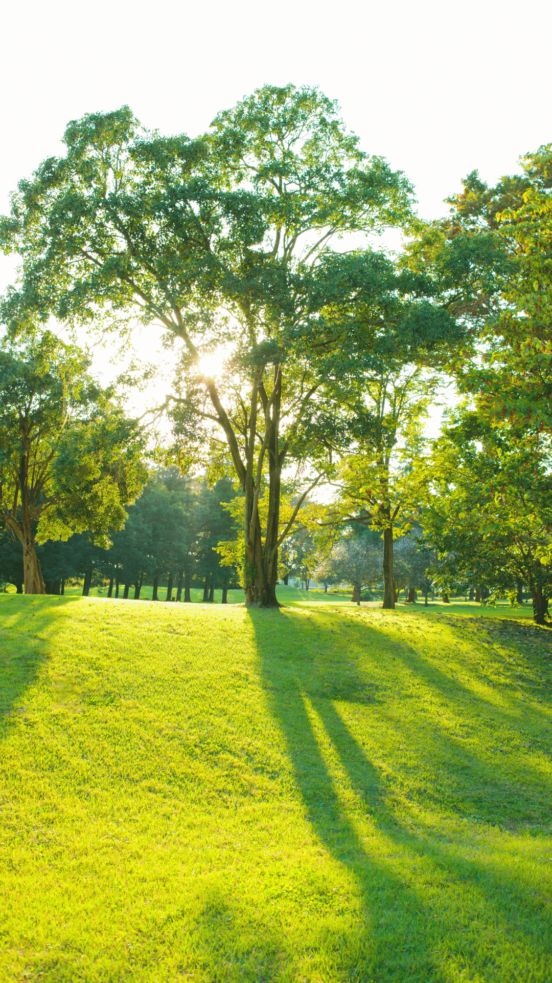 Exposure to Sunlight