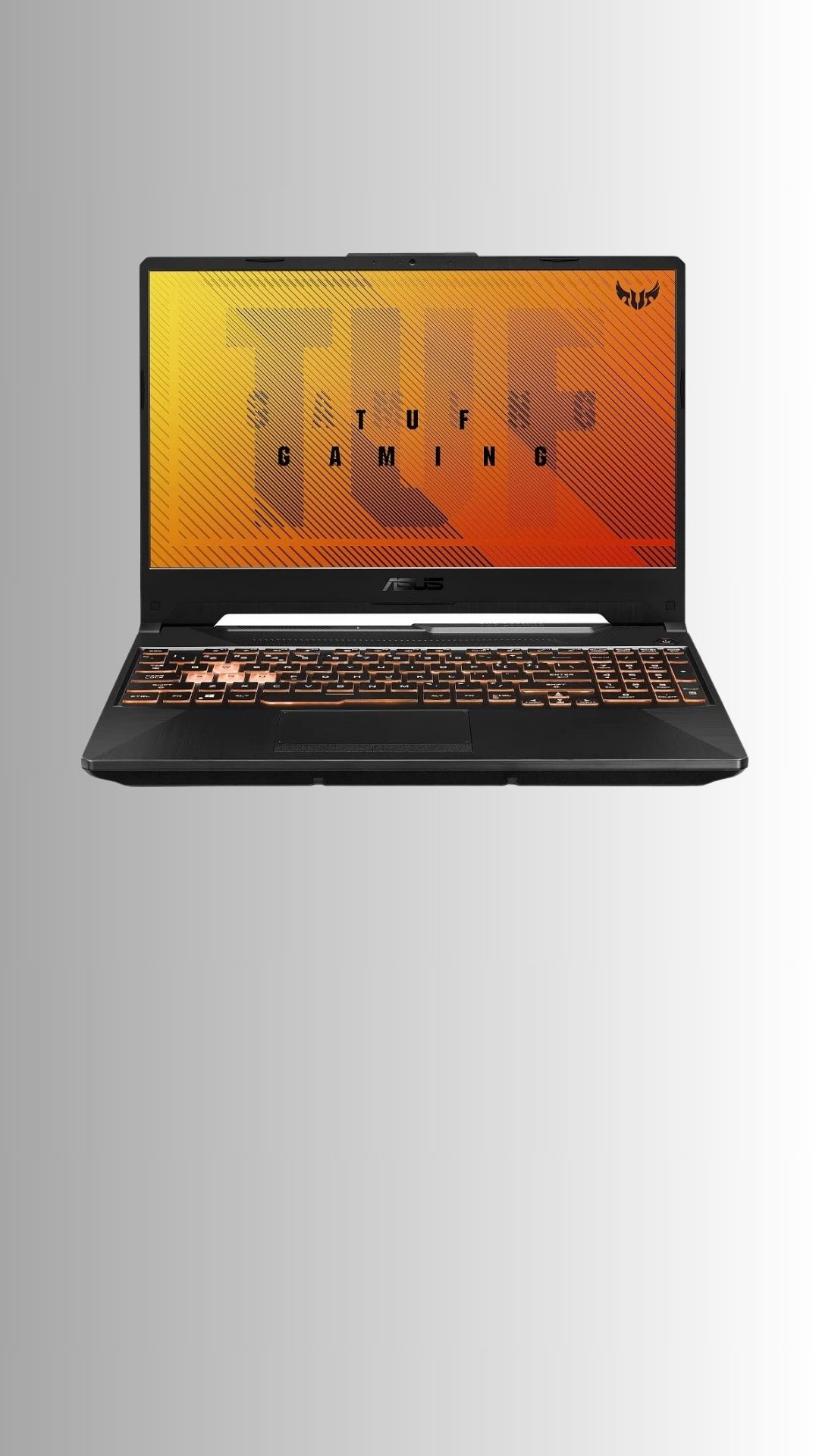 Asus TUF Gaming F15 FX506LHB-HN355WS