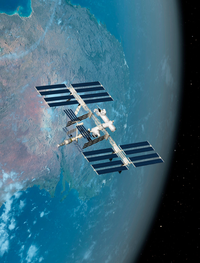 7 Odd Things Scientists Have Sent to Space