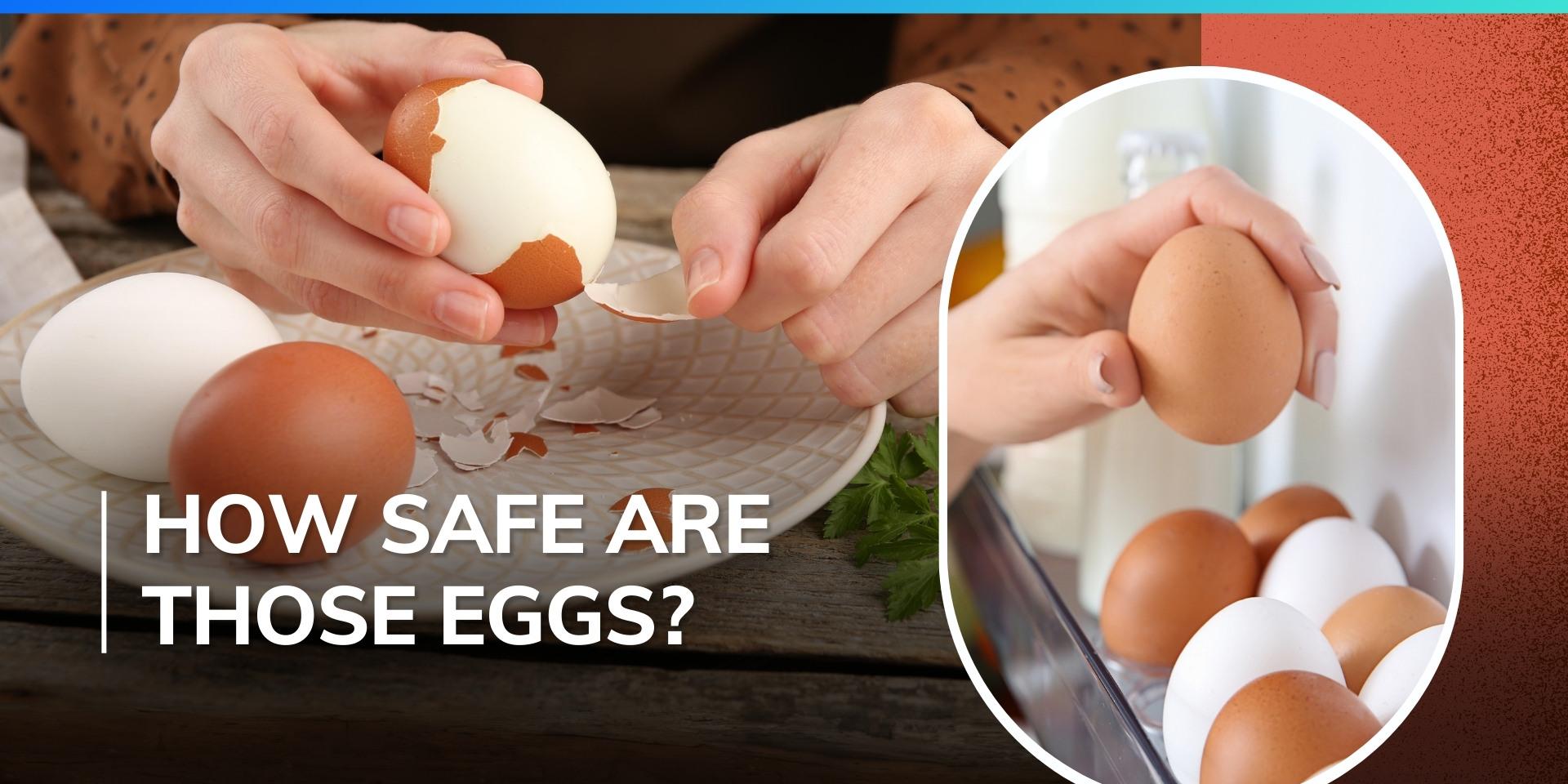 How to know if your egg is good to eat? What is the shelf life? Eggoz