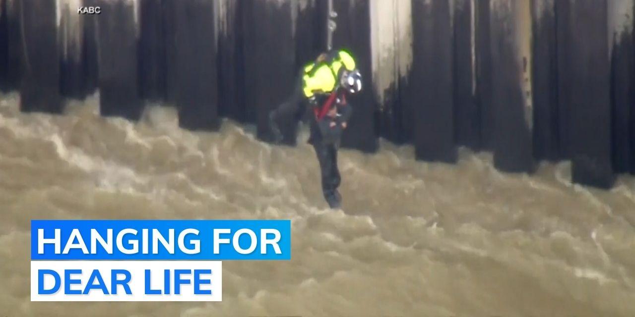 California man safely lifted from raging Los Angeles River | Editorji