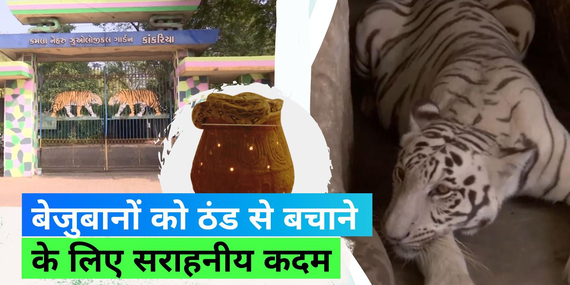 Heating System in Kankaria Zoo Heating system installed in Kankaria