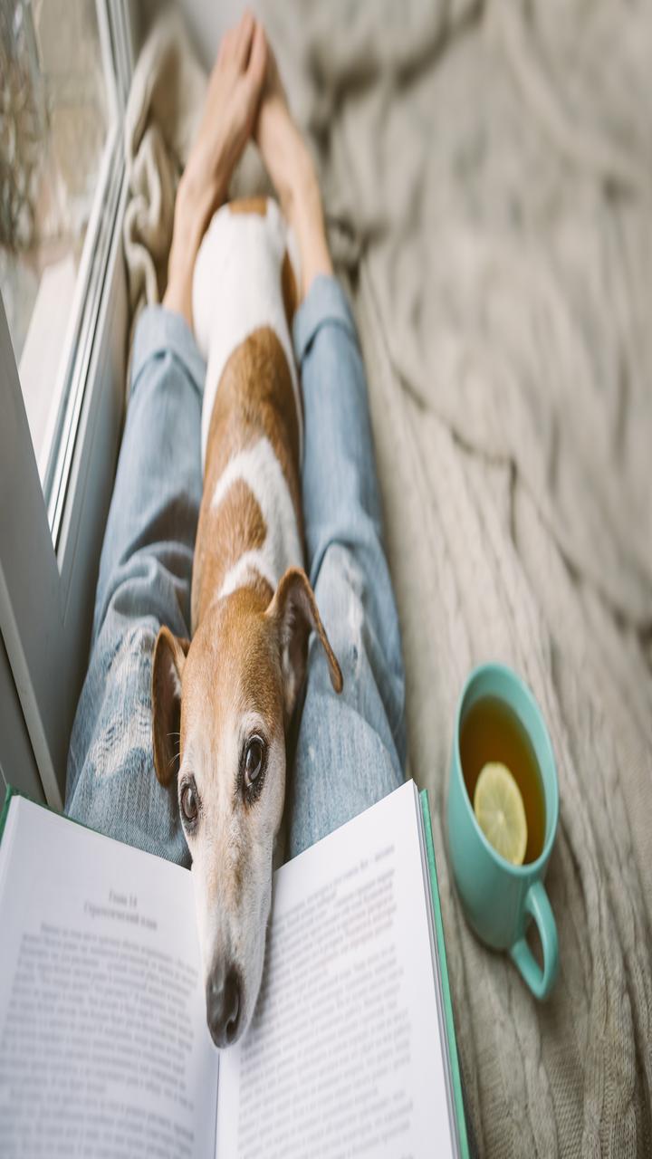 How to Build a Reading Habit: Tips for Lifelong Learning