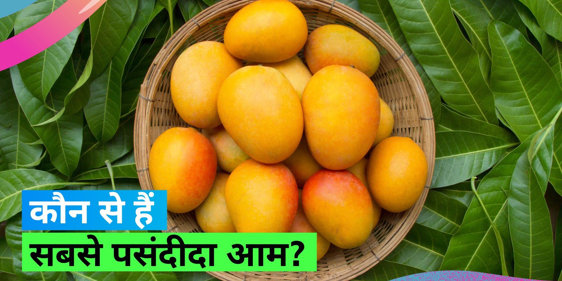 Uttar Pradesh Mango Festival 2023 ‘Yogiraj’ and ‘Gajanan’ became