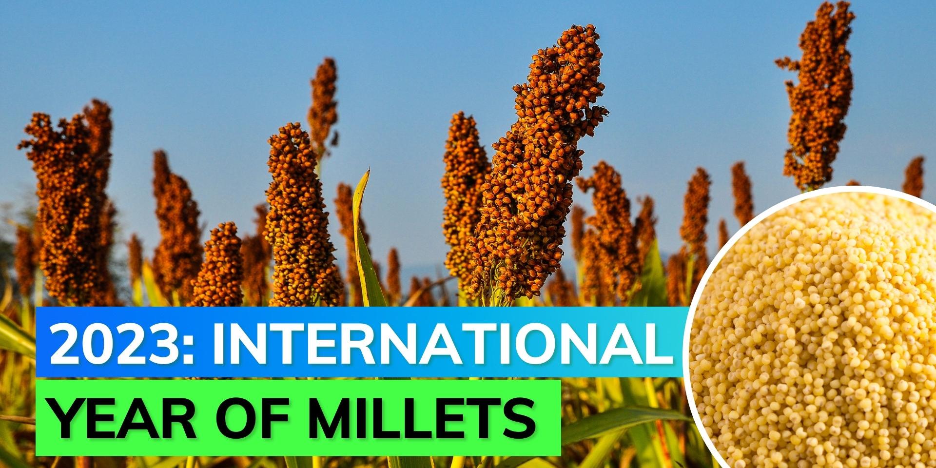 International Year Of Millets 2023 Editorji