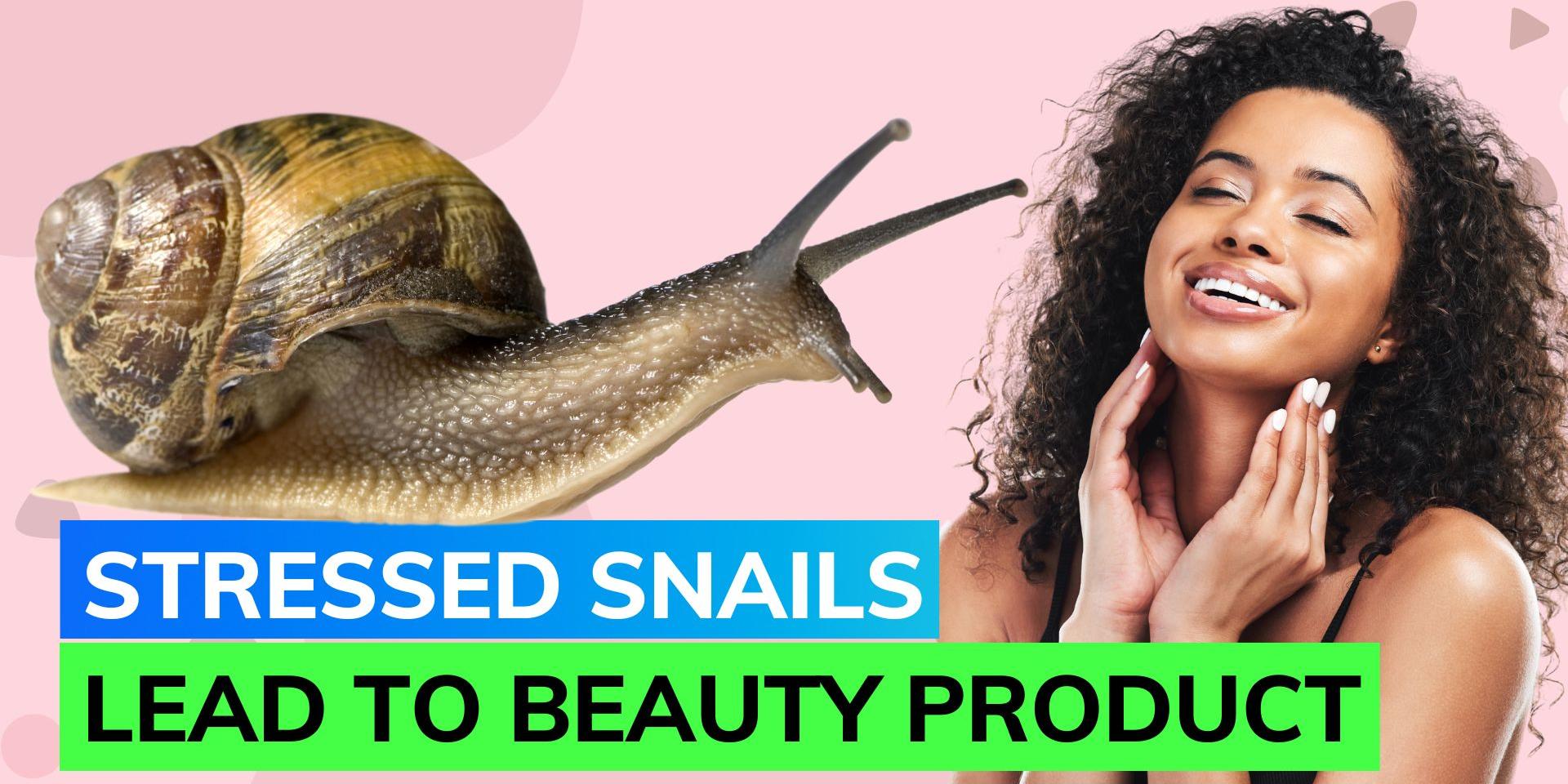Is snail mucin really worth the hype? Know the benefits of this K