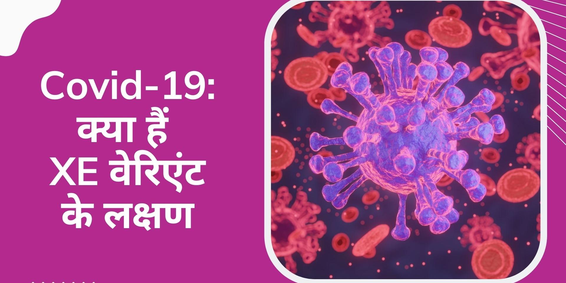Covid19 XE variant ke Lakshan What is the Covid19 XE variant? know