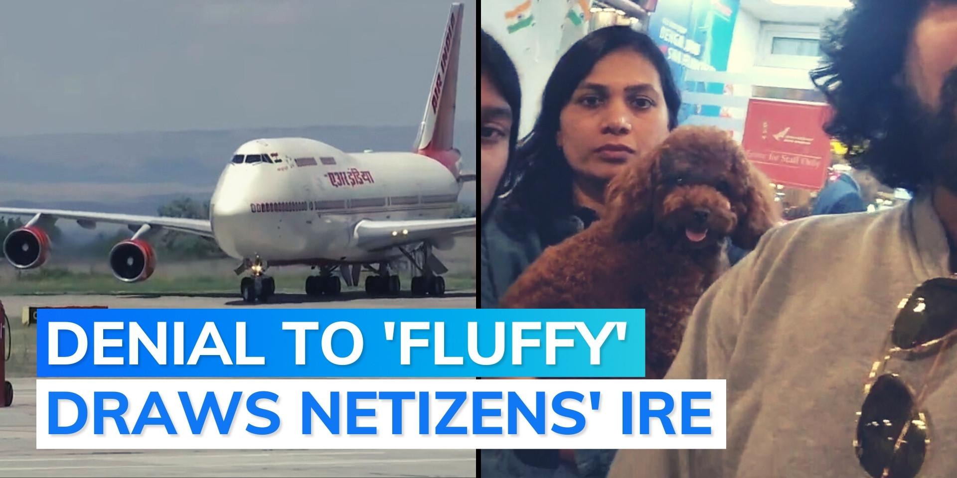 Bengaluru family alleges pet not allowed to fly, Air India responds