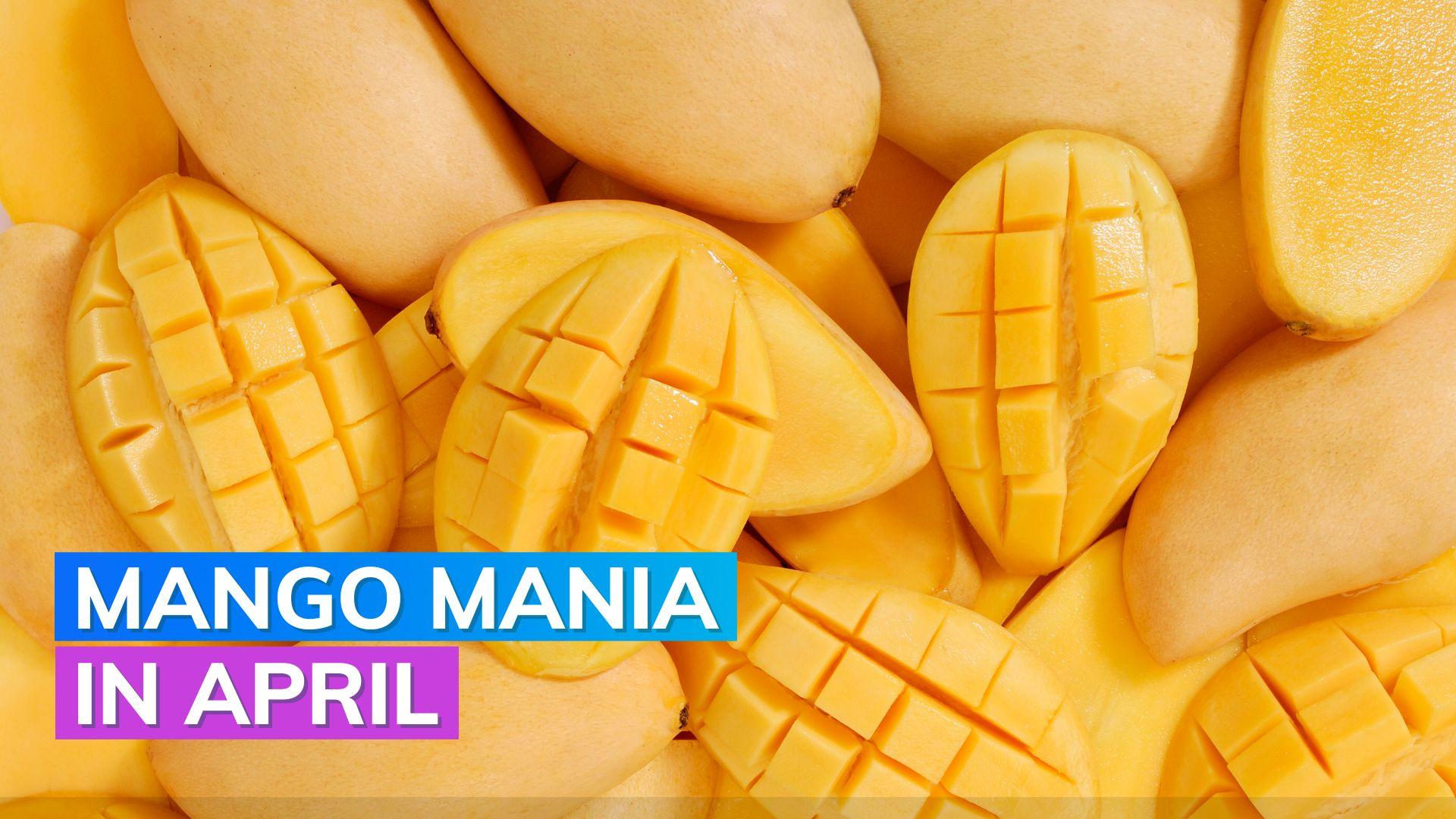 Mangoes love in India people have ordered mangoes worth this much on
