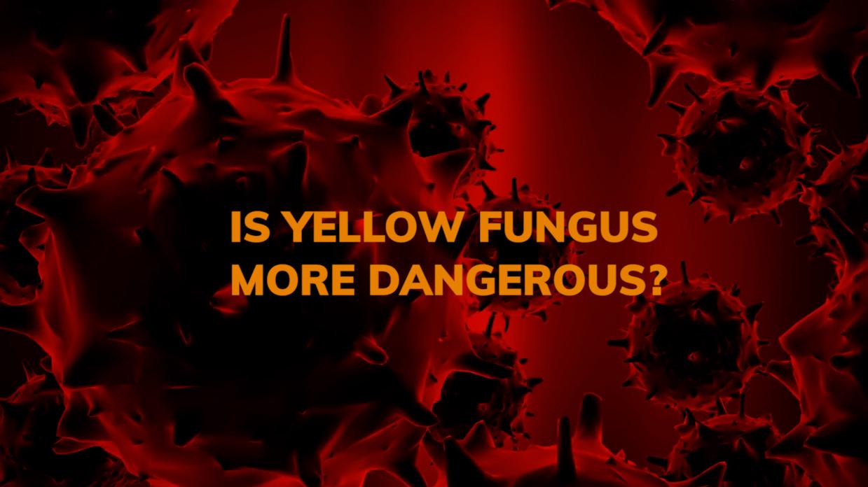 Is Yellow Fungus more dangerous causes, symptoms and treatment Editorji
