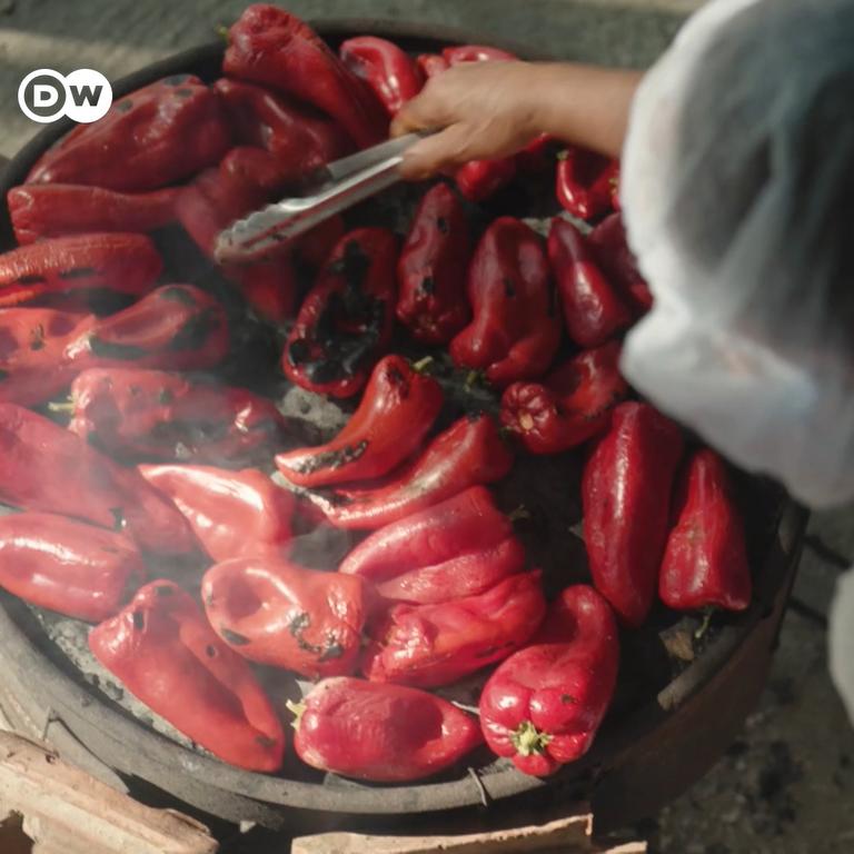 Ajvar Paprika, Historische Balkan Sorte, 5 Samen, SEHT SELTEN