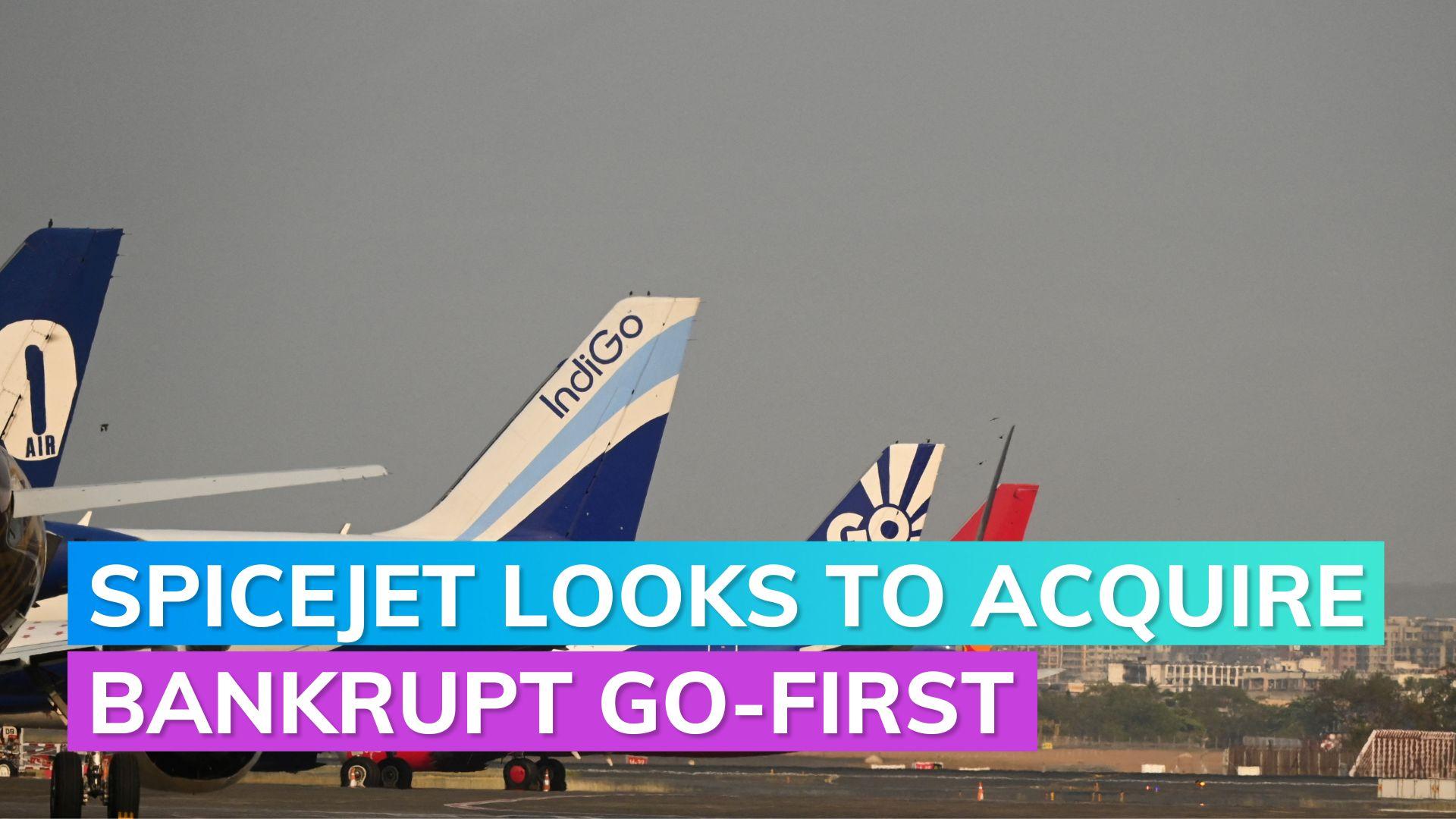 Go First acquisition SpiceJet says interested in buying bankrupt Go First Editorji
