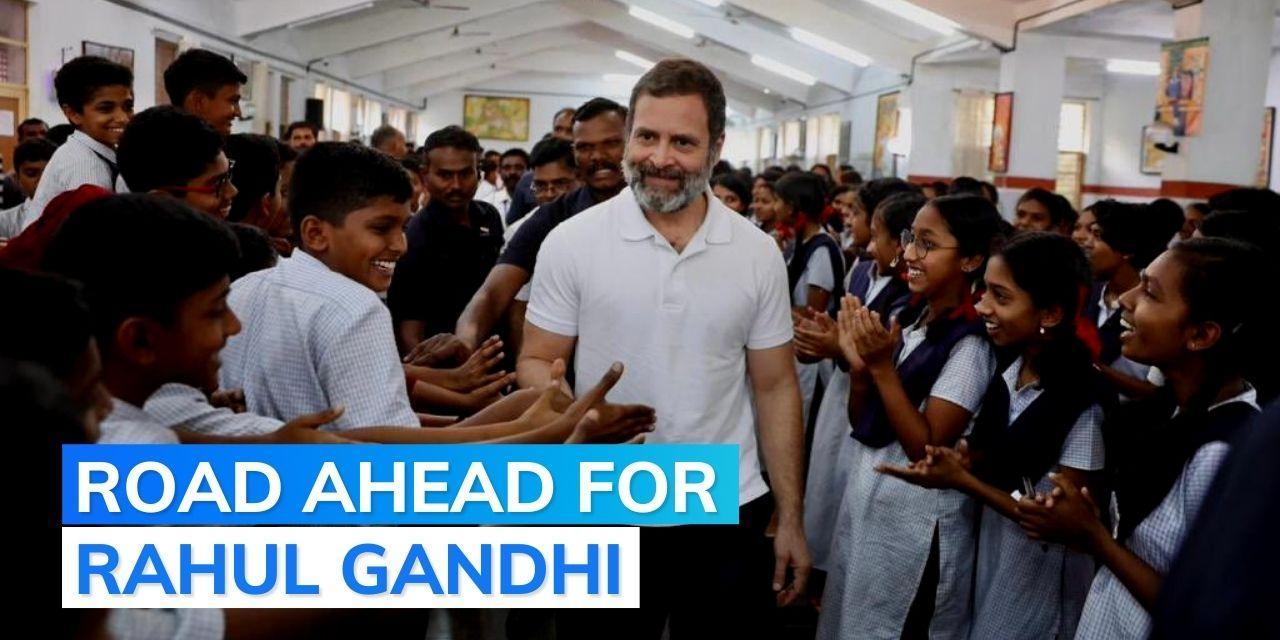Rahul Gandhi Disqualified From Lok Sabha What Happens To His Wayanad