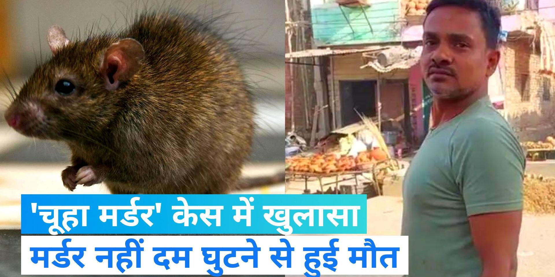 Rat Postmortem New twist in rat death case in Budaun, death was due to