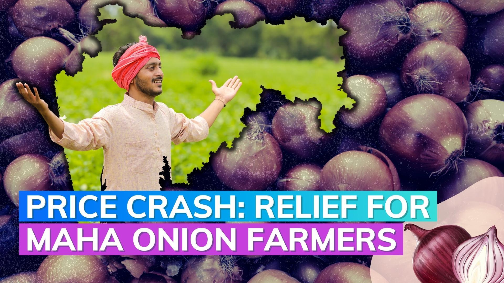Onion prices crash Maharashtra govt to give compensation of ₹300