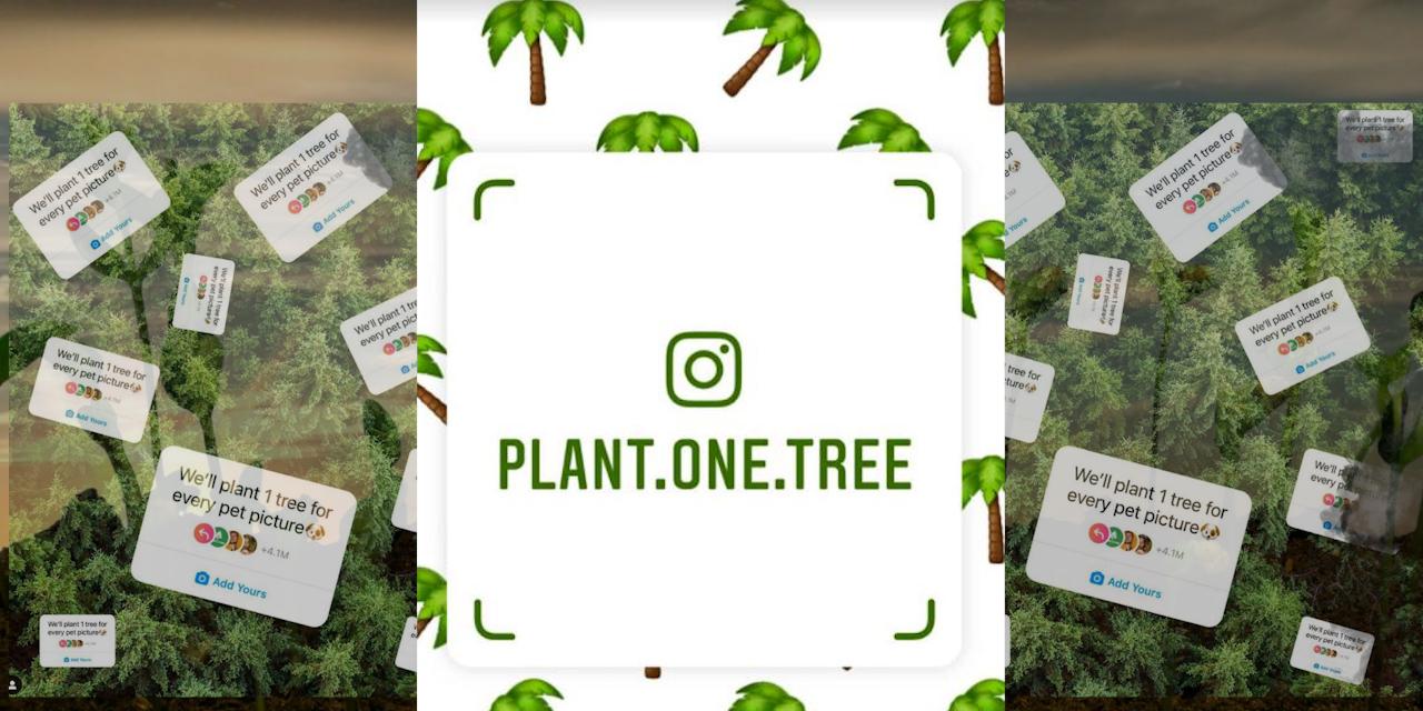 EJ Explains What is viral instagram trend ‘we’ll plant 1 tree for